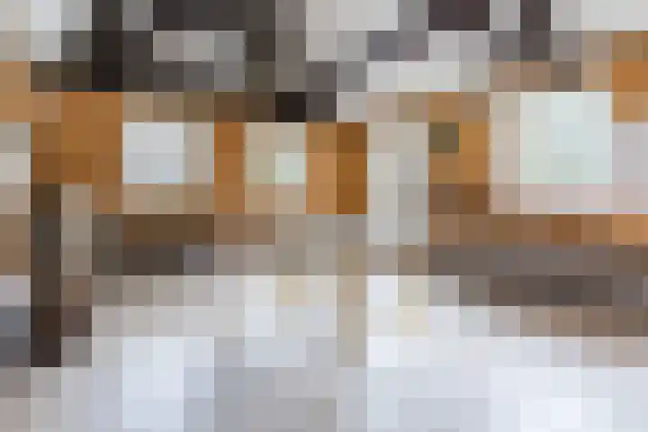 Heeleind 86 Bladel thumbnail 33