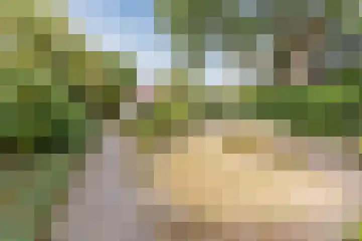 Heeleind 86 Bladel thumbnail 35