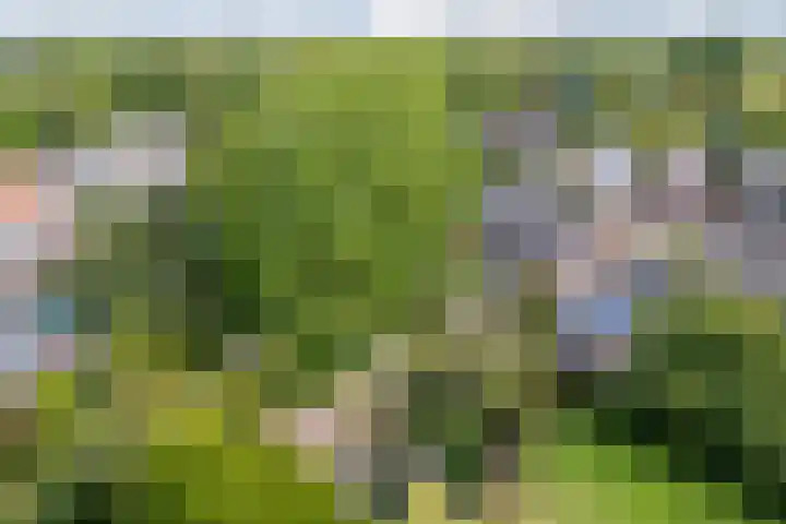 Heeleind 86 Bladel thumbnail 39
