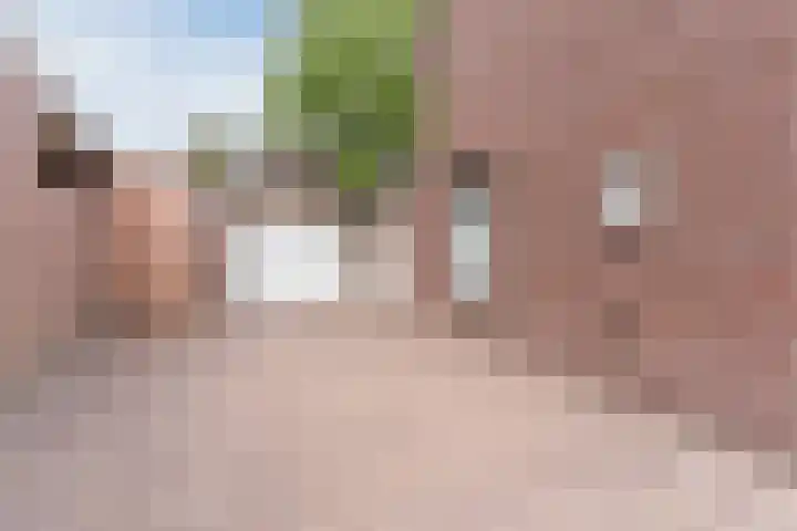 Heeleind 86 Bladel thumbnail 5