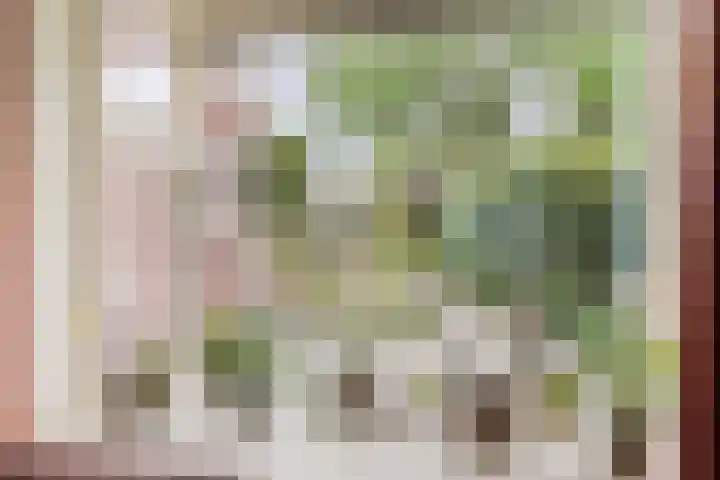Heeleind 86 Bladel thumbnail 7