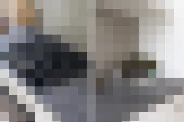 Heelsumstraat 80 Den Haag thumbnail 9