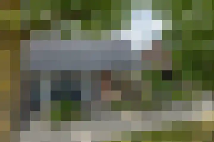 Heelweg 2 b Beltrum thumbnail 40