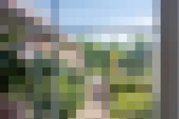 Heelweg 6 Beltrum thumbnail 13