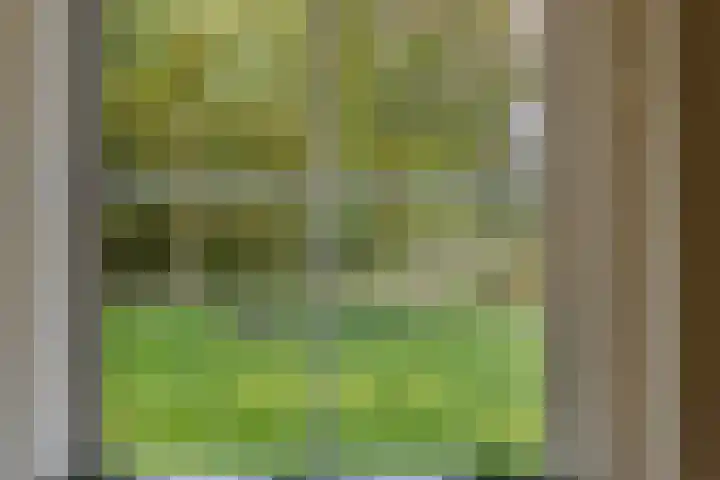 Heelweg 6 Beltrum thumbnail 18