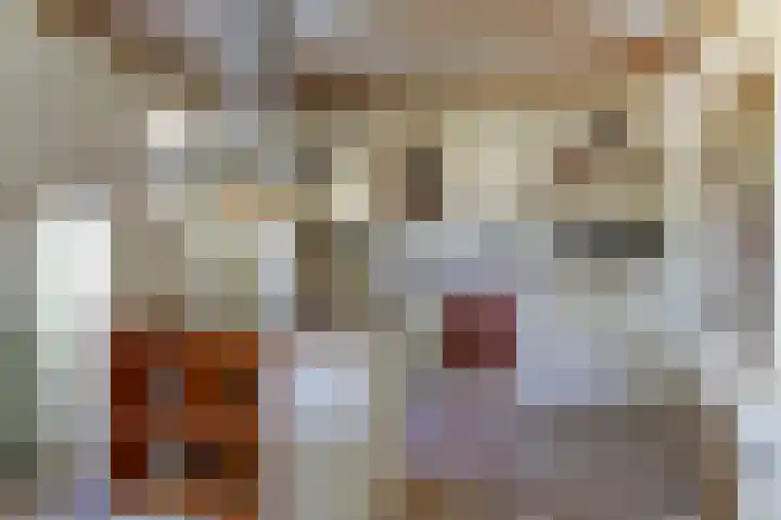 Heelweg 6 Beltrum thumbnail 22