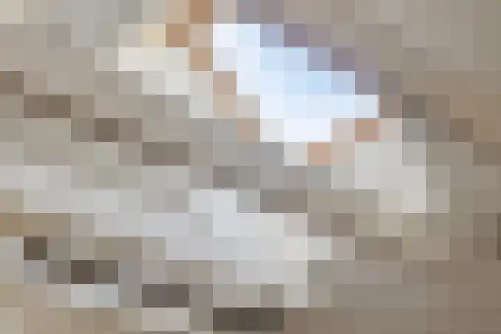 Heelweg 6 Beltrum thumbnail 29