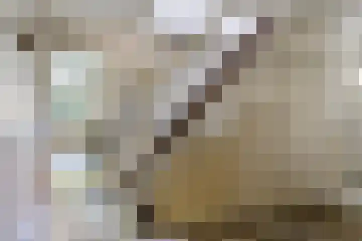 Heelweg 6 Beltrum thumbnail 38