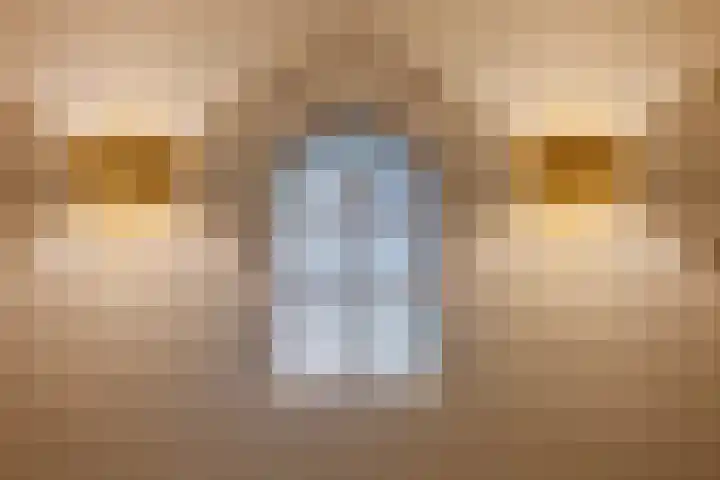 Heelweg 6 Beltrum thumbnail 39