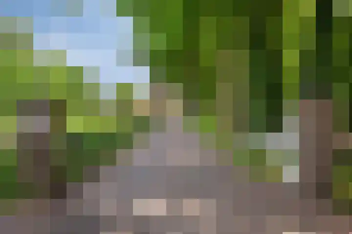 Heelweg 6 Beltrum thumbnail 4