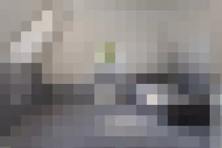 Heelweg 6 Beltrum thumbnail 41