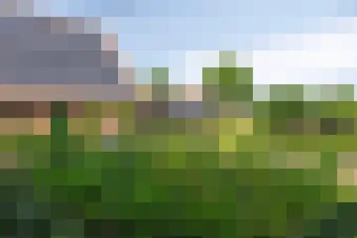 Heelweg 6 Beltrum thumbnail 61