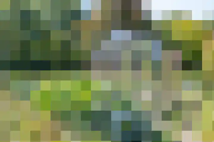 Heelweg 6 Beltrum thumbnail 62