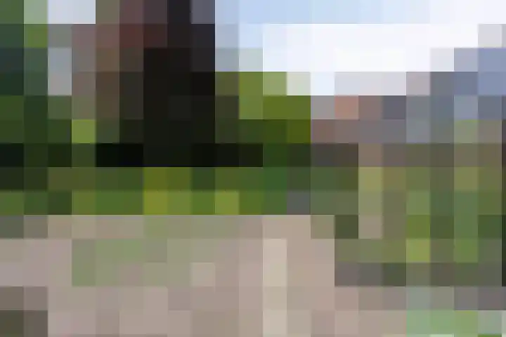 Heelweg 6 Beltrum thumbnail 63