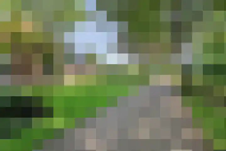 Heelweg 6 Beltrum thumbnail 65