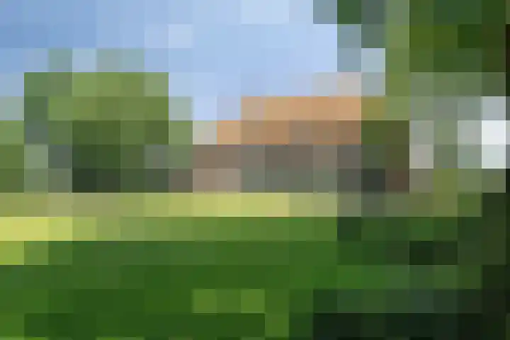 Heelweg 6 Beltrum thumbnail 66