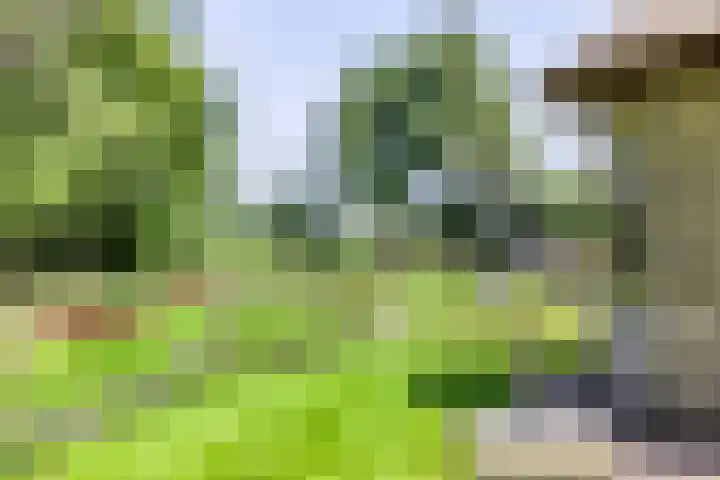 Heelweg 6 Beltrum thumbnail 70