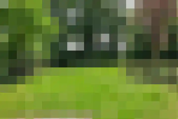 Heelweg 6 Beltrum thumbnail 72