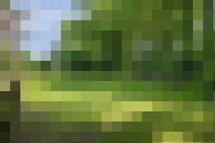 Heelweg 6 Beltrum thumbnail 73