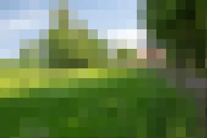 Heelweg 6 Beltrum thumbnail 74