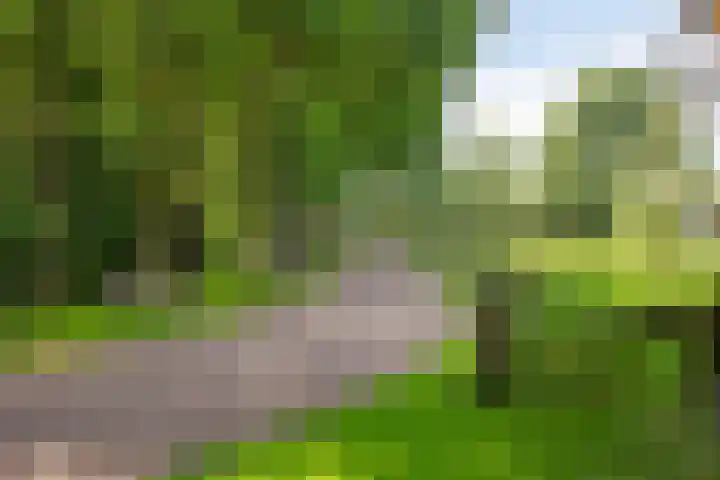 Heelweg 6 Beltrum thumbnail 76