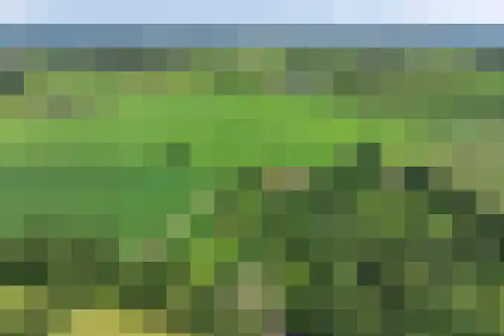 Heelweg 6 Beltrum thumbnail 81