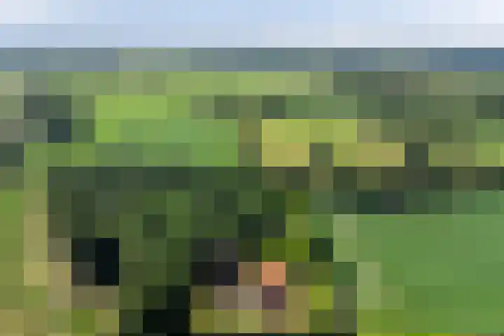 Heelweg 6 Beltrum thumbnail 82
