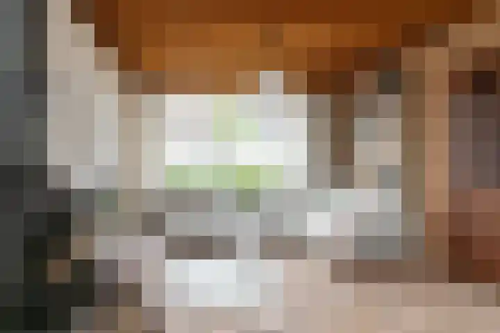 Heelwijkstraat 1 Heesch thumbnail 10