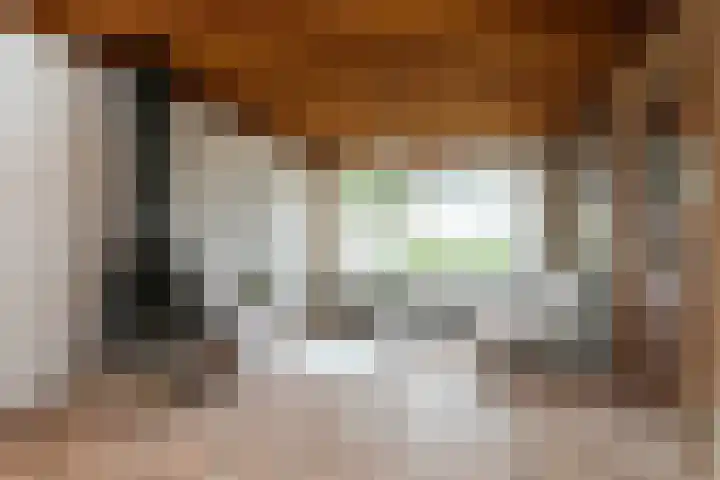 Heelwijkstraat 1 Heesch thumbnail 11