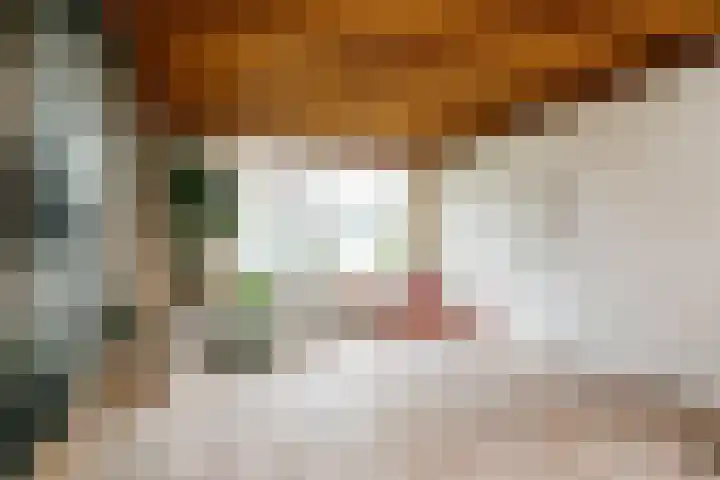 Heelwijkstraat 1 Heesch thumbnail 13