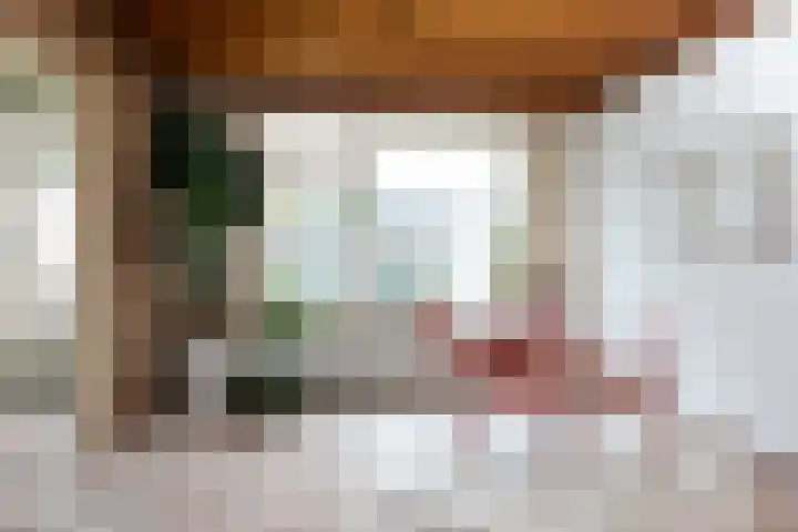 Heelwijkstraat 1 Heesch thumbnail 14