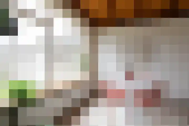 Heelwijkstraat 1 Heesch thumbnail 15