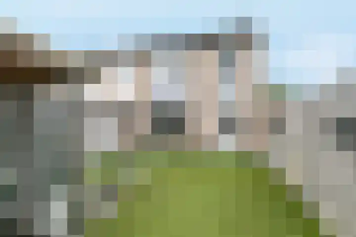 Heelwijkstraat 1 Heesch thumbnail 34