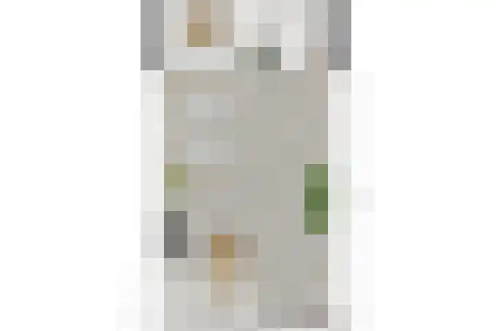 Heelwijkstraat 1 Heesch thumbnail 39