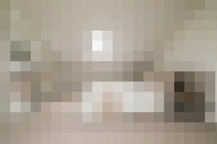 Heelwijkstraat 1 Heesch thumbnail 4