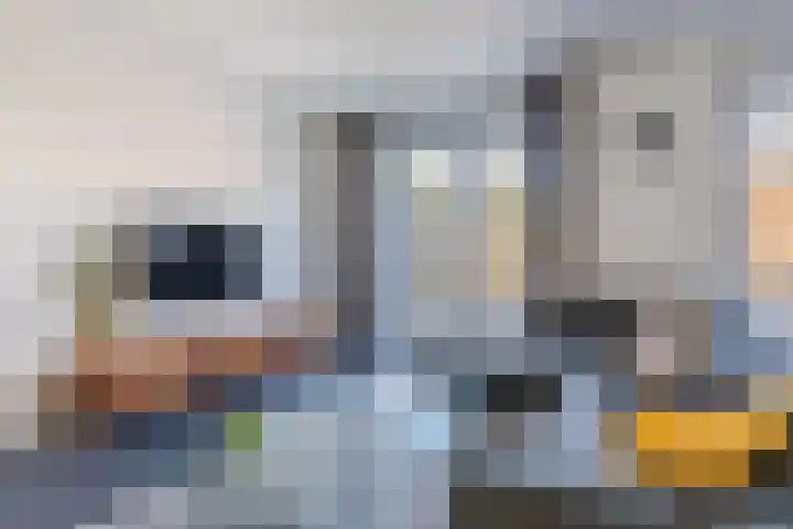 Kantoor foto van Heemborgh Makelaars Hillegom