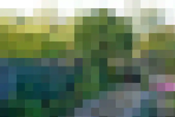 Heemraad 11 Naarden thumbnail 13