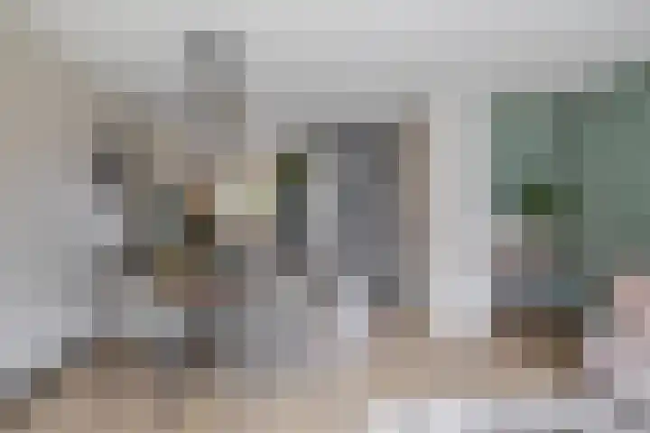 Heemraad 23 Brielle thumbnail 12