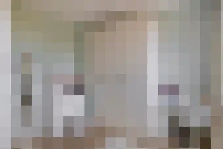Heemraad 23 Brielle thumbnail 28