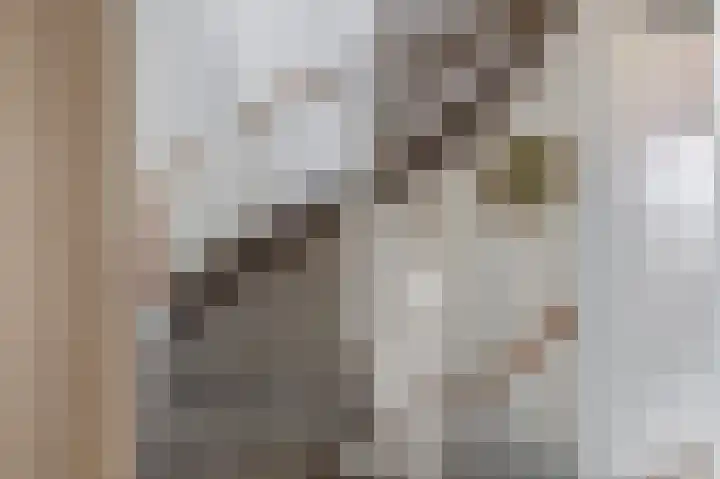 Heemraad 23 Brielle thumbnail 33