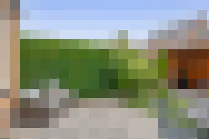Heemraad 23 Brielle thumbnail 39