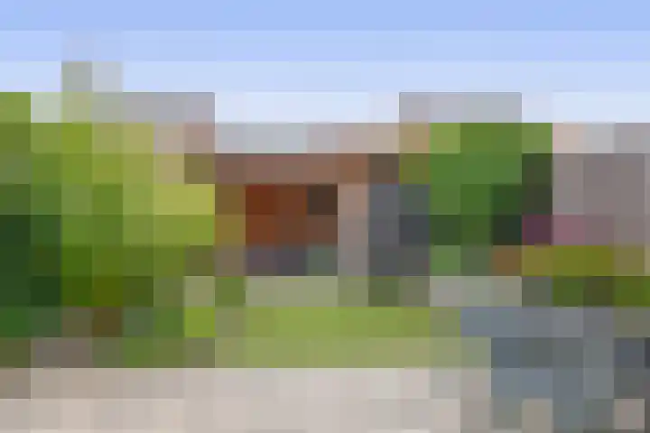 Heemraad 23 Brielle thumbnail 41