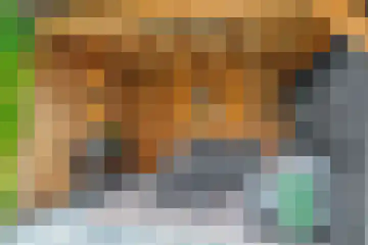 Heemraad 23 Brielle thumbnail 43