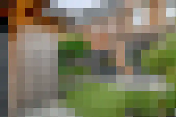 Heemraad 23 Brielle thumbnail 44