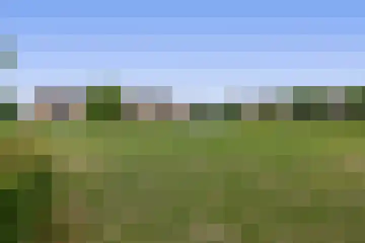 Heemraad 23 Brielle thumbnail 59