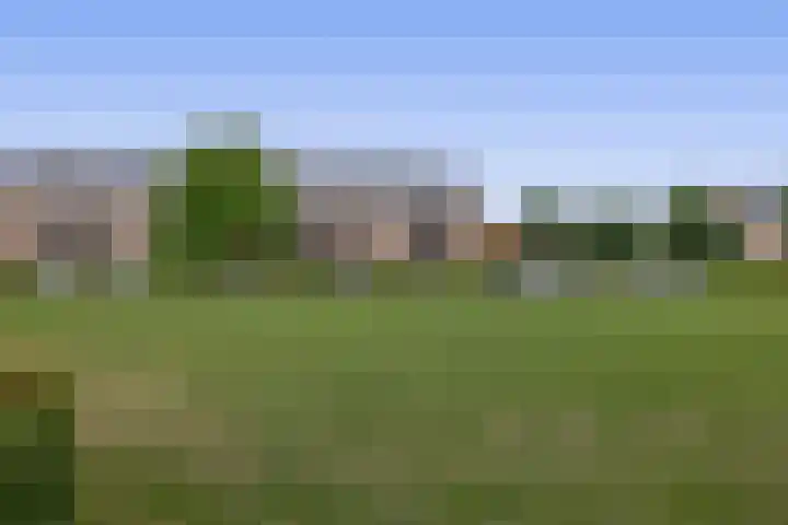 Heemraad 23 Brielle thumbnail 60