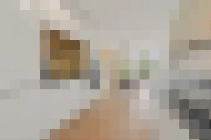 Heemraad 36 Maasland thumbnail 15