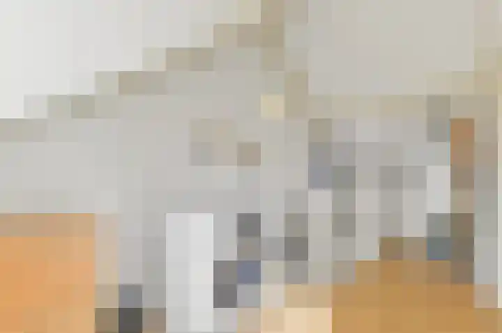 Heemraad 36 Maasland thumbnail 39