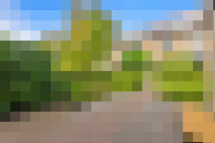 Heemraad 36 Maasland thumbnail 5