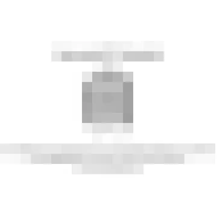 Heemraad 36 Maasland thumbnail 51